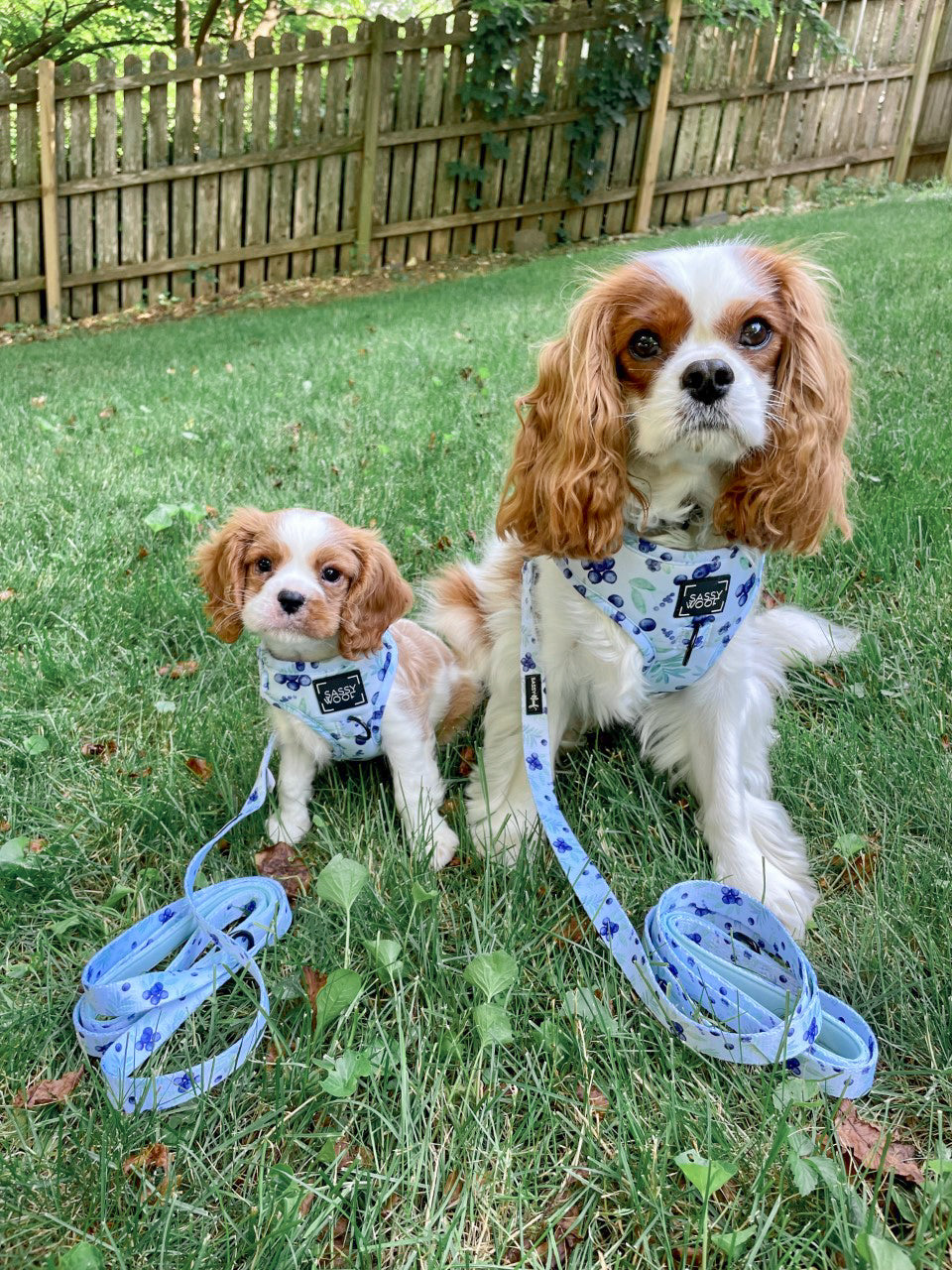 Dog Adjustable Harness - Berry Sassy