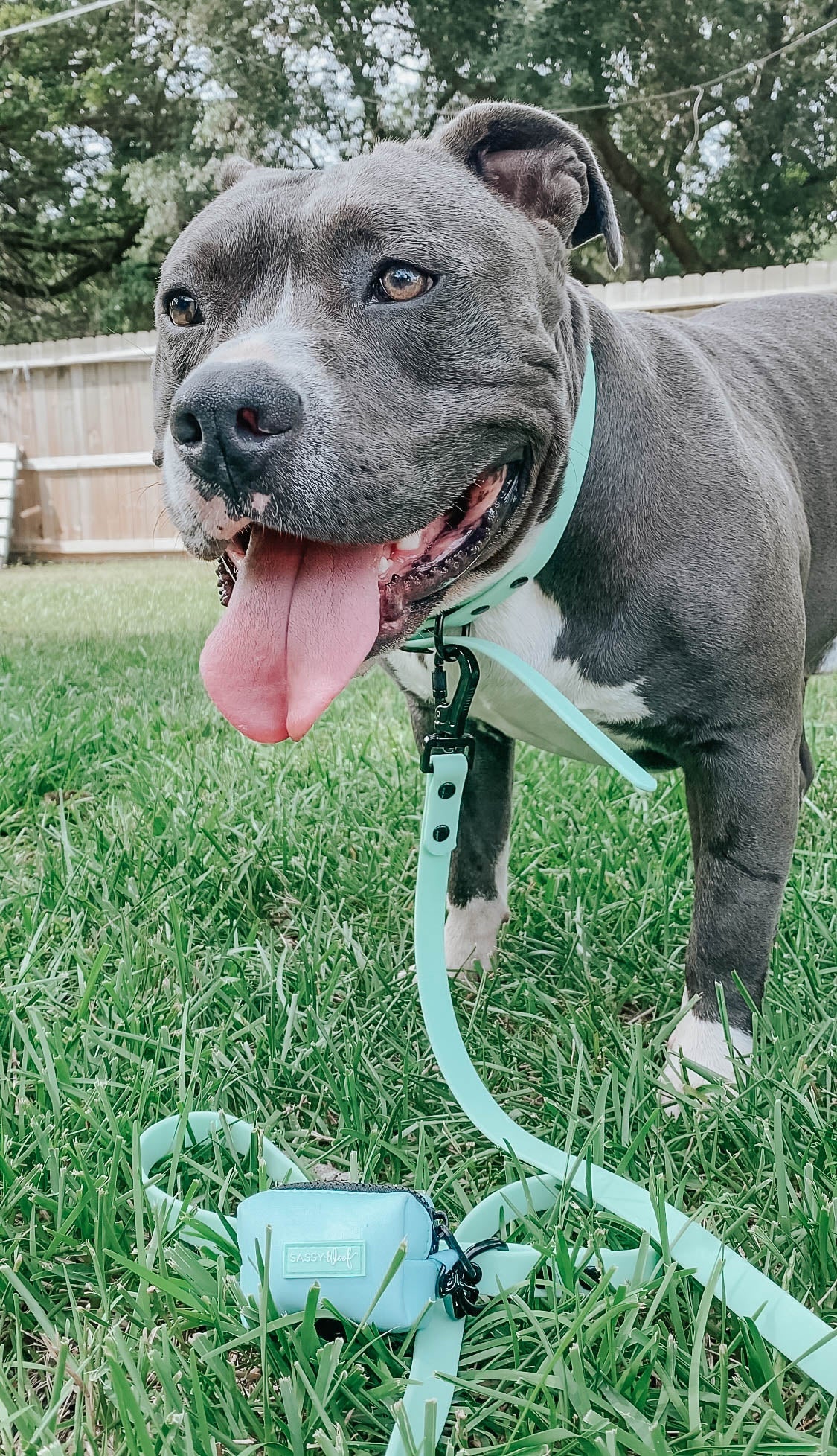 Dog Waterproof Leash - Green