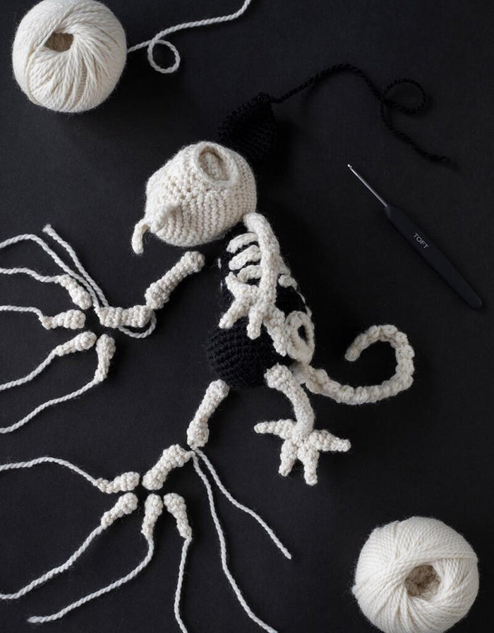 Magdalena the Cat Skeleton Crochet Kit