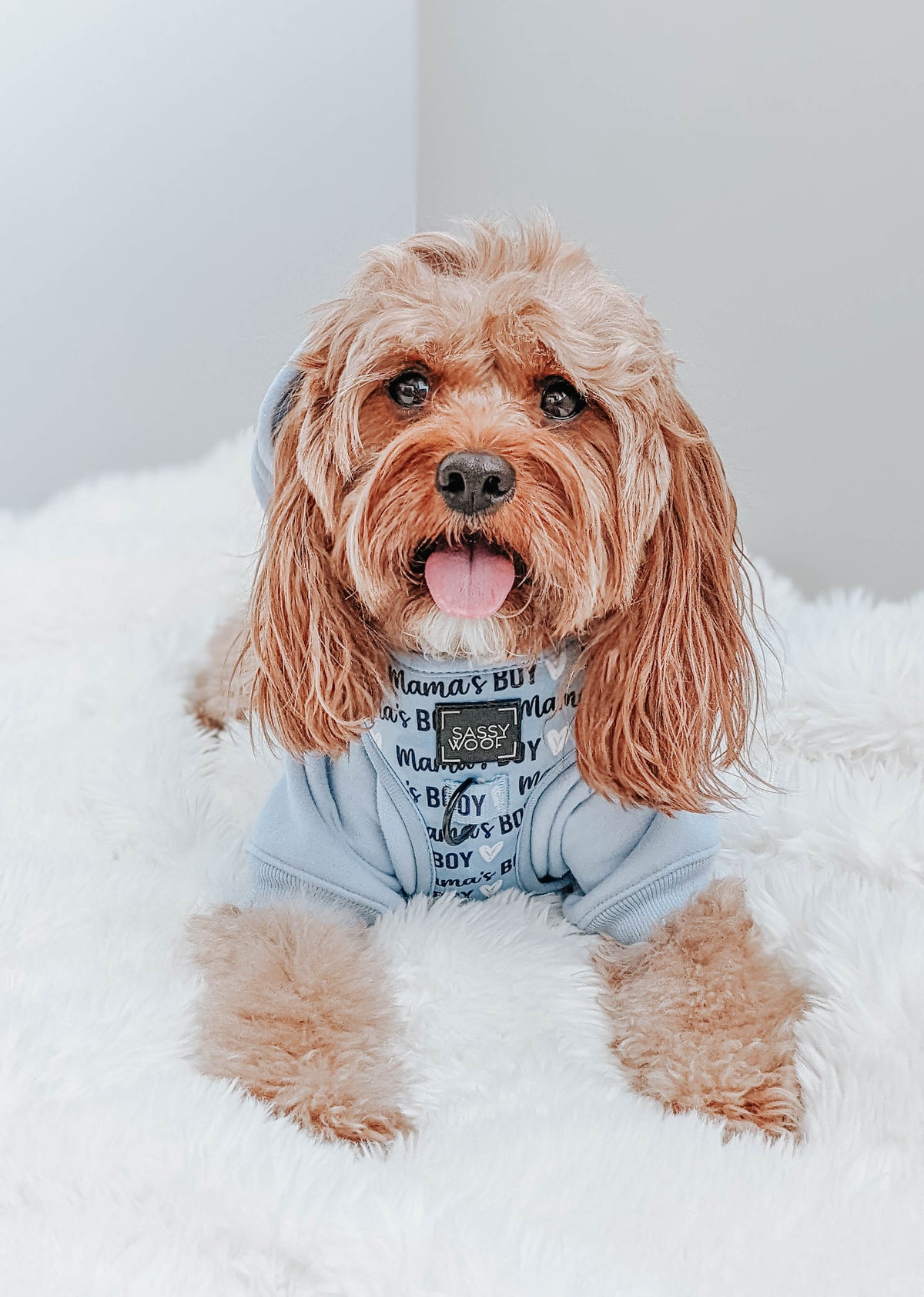 Dog Four Piece Bundle - Mama's Boy