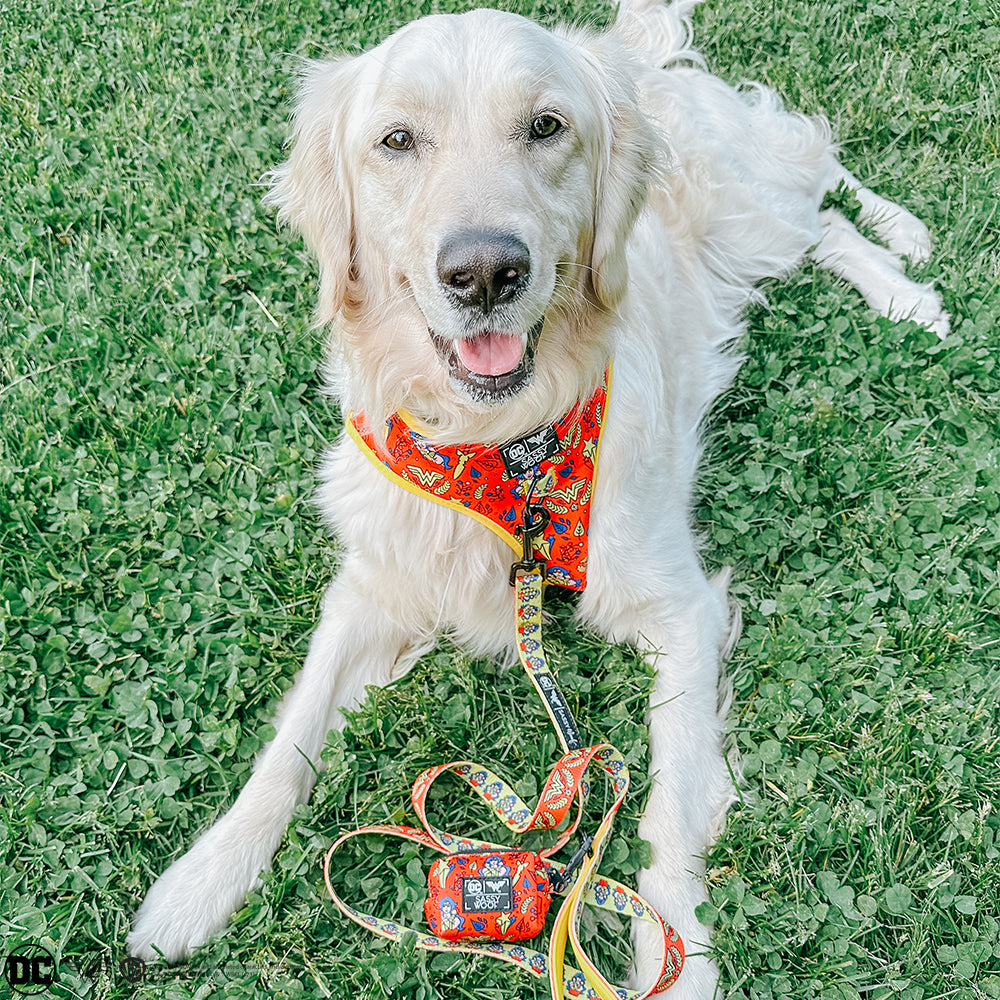 Dog Waste Bag Holder - Wonder Woman™