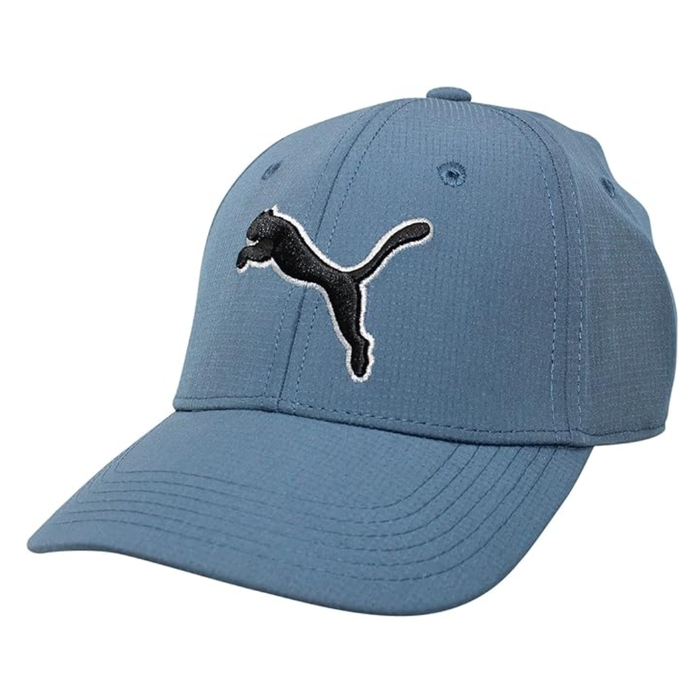 Puma Men's Dillon Stretchfit Cap Blue – PV2028