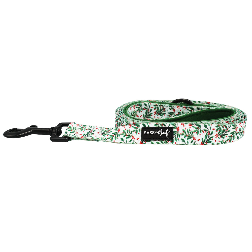Dog Leash - Under The Mistletoe