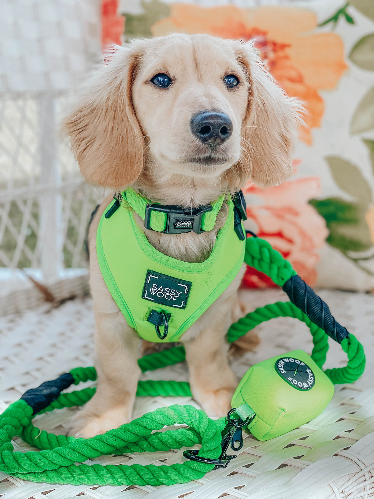 Dog Rope Leash - Neon Green