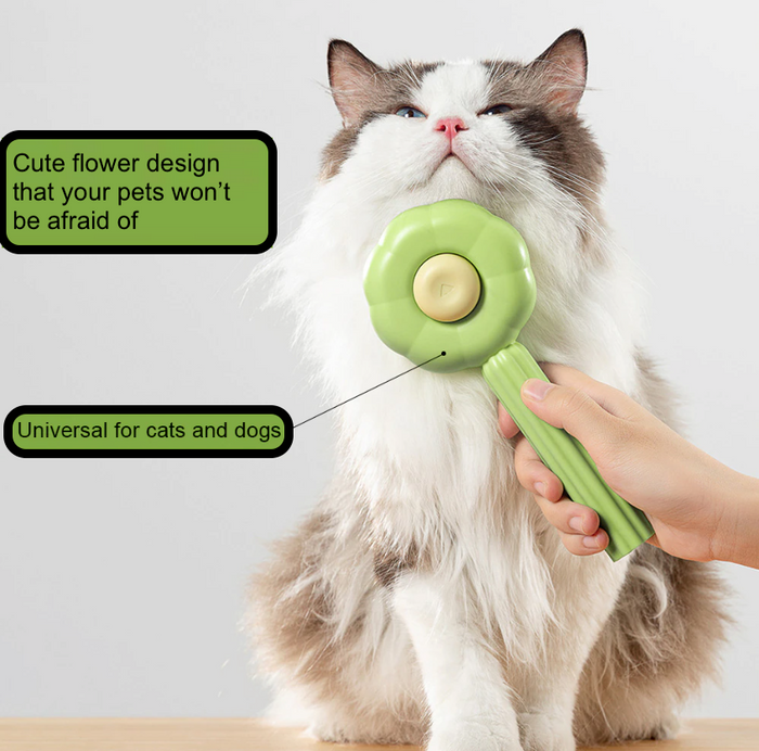 Pet Hair Brush