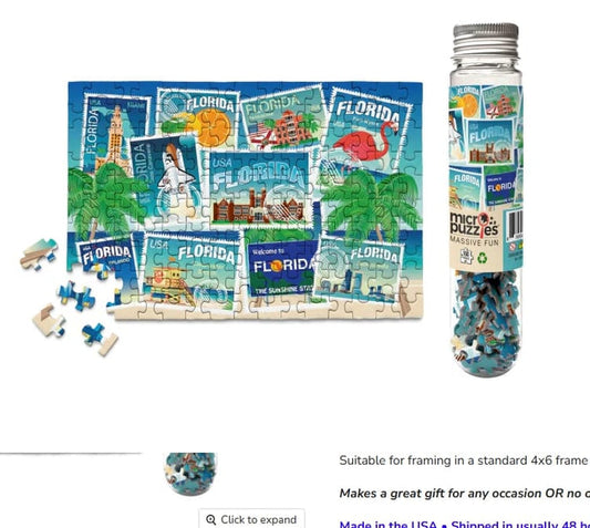 Road Trip Florida Puzzle, 150 Pieces, 4x6 Inch Micro Puzzles LLC