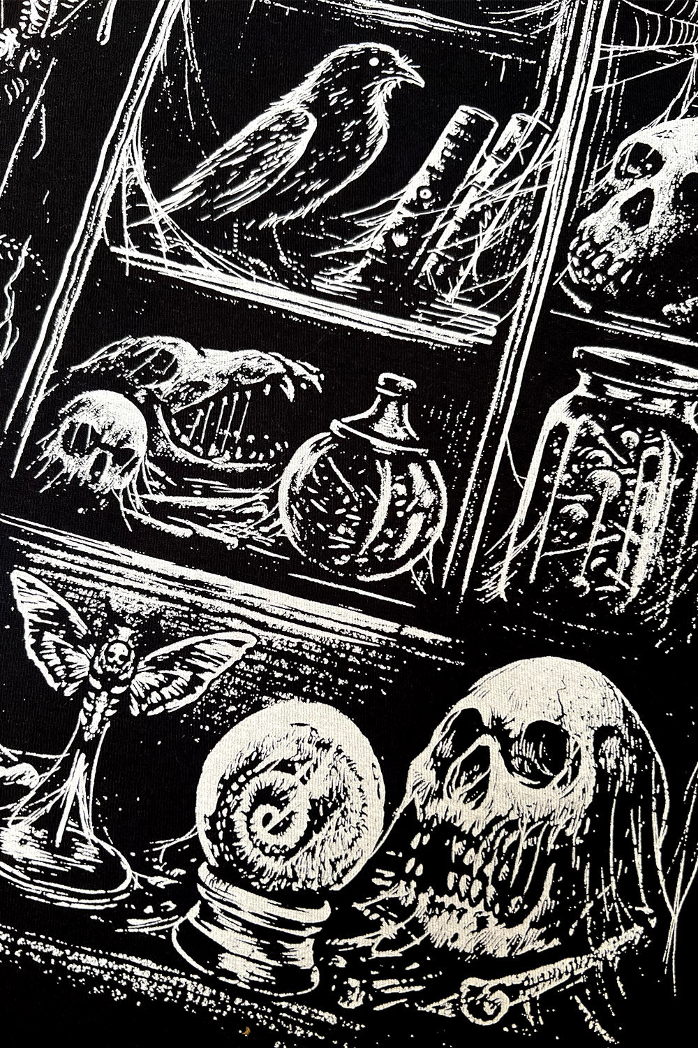 Cabinet of Curiosities Sweatshirt