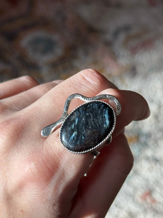 Snake Arfvedsonite + Garnet Ring Size 6.5