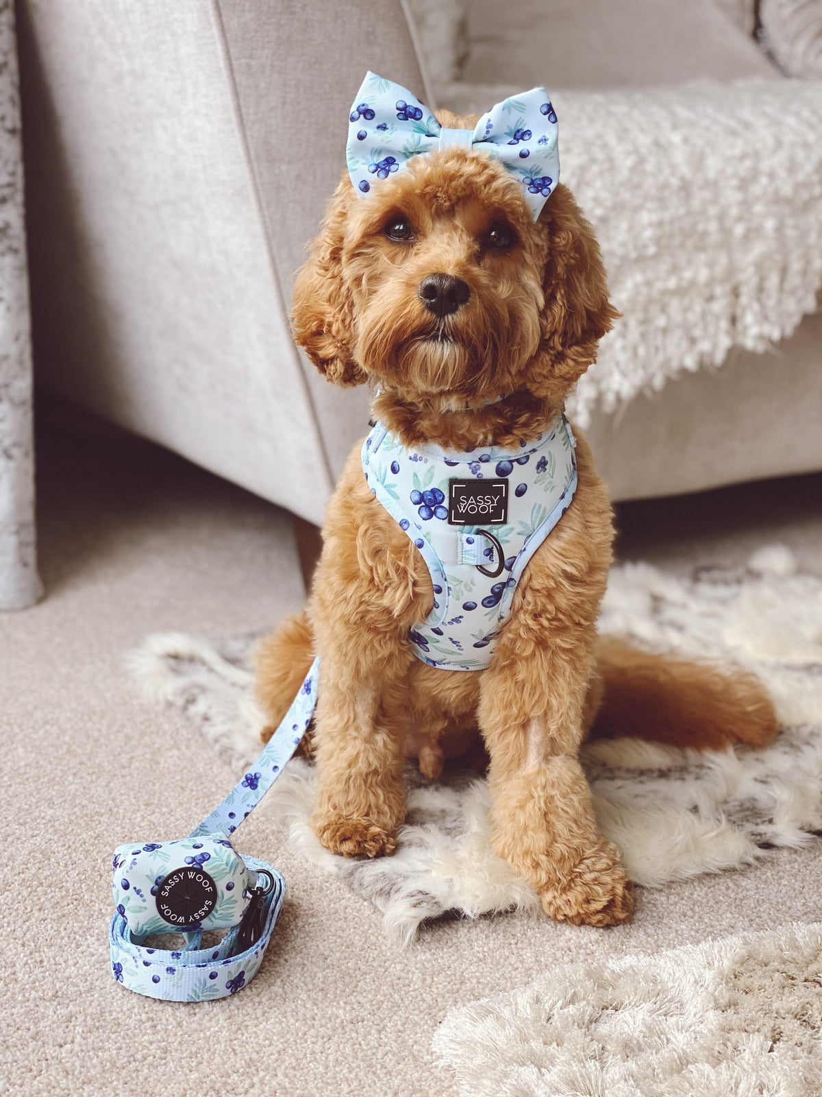 Dog Adjustable Harness - Berry Sassy