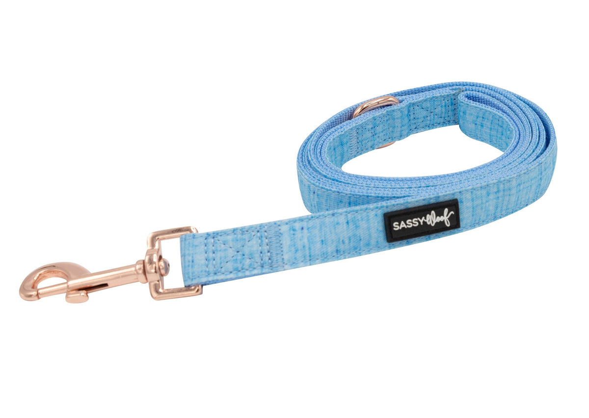 Dog Leash - Blumond