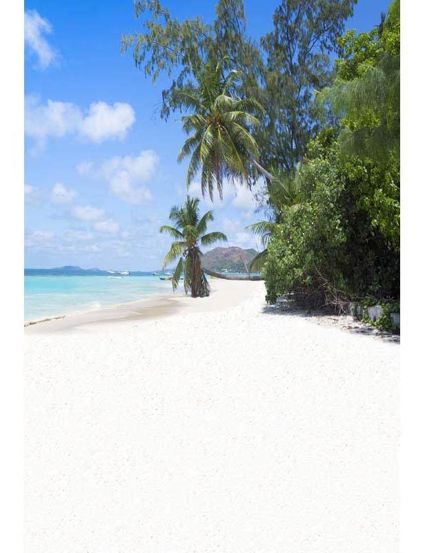 White Coral Sand Beach Blue Ocean Green Plant Photography Backdrop F-2625 Shopbackdrop